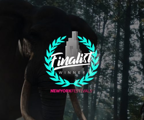 SKT, SK텔레콤, 동물없는동물원, 뉴욕페스티벌, 세계3대광고제, SKT광고, ICT, JUMPAR