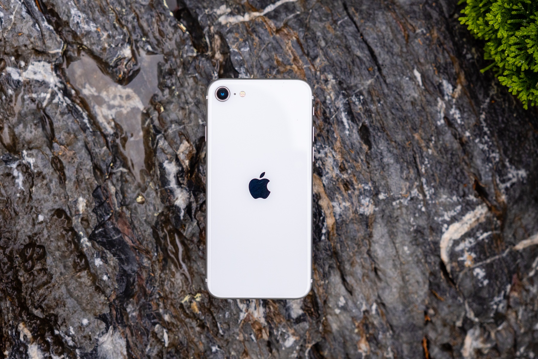 아이폰SE2, 아이폰SE, 아이폰리뷰, iphone