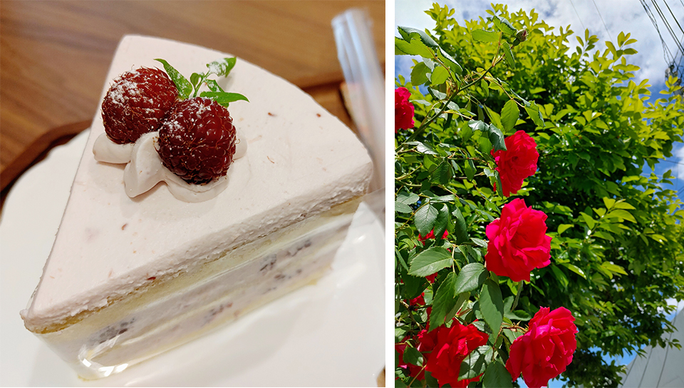 LG벨벳, skt, sk텔레콤, 물방울카메라