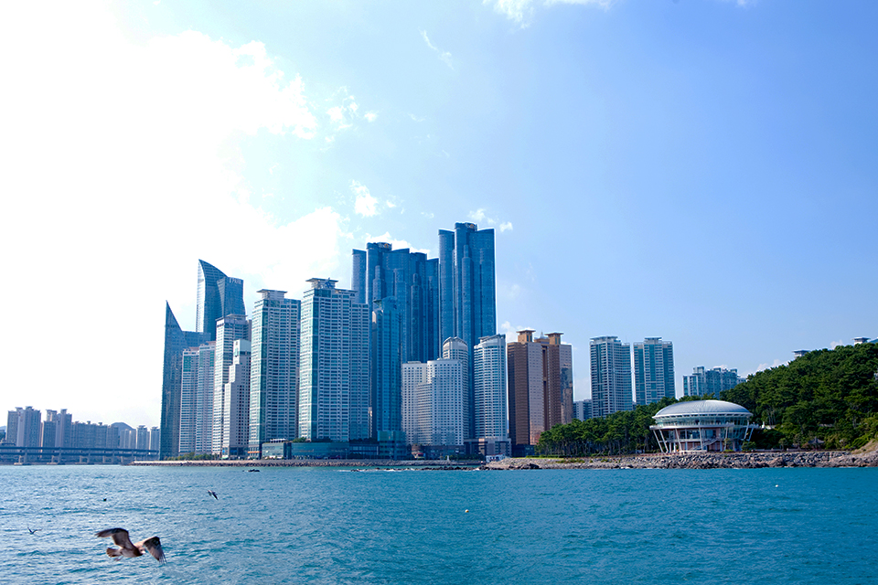 티맵미식로드, Tmap미식로드, 부산맛집, 해운대맛집, 티맵, T맵