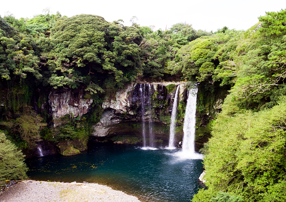제주가볼만한곳추천, 제주관광명소, 천지연폭포, 천지연