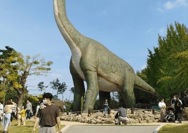 LG윙, 윙, lg윙카메라, LG윙테스트, LG윙디스플레이, LG윙 스마트, LGwing가격, LGwing사전예약, LGwing출시일, LGwing케이스, LGwing스펙