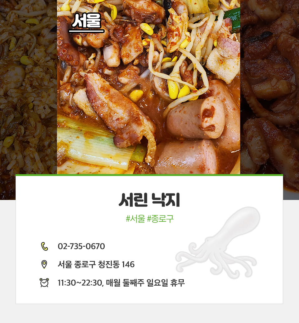 T맵미식로드, 낙지, 낙지맛집, 전국낙지맛집, 낙지볶음맛집추천