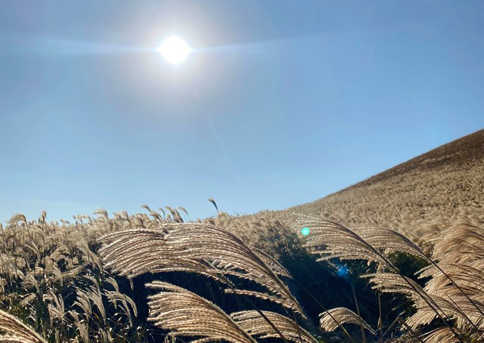 스마트폰기능, 스마트폰트렌드, 돌비비전, HDR, 120Hz, 와이파이6