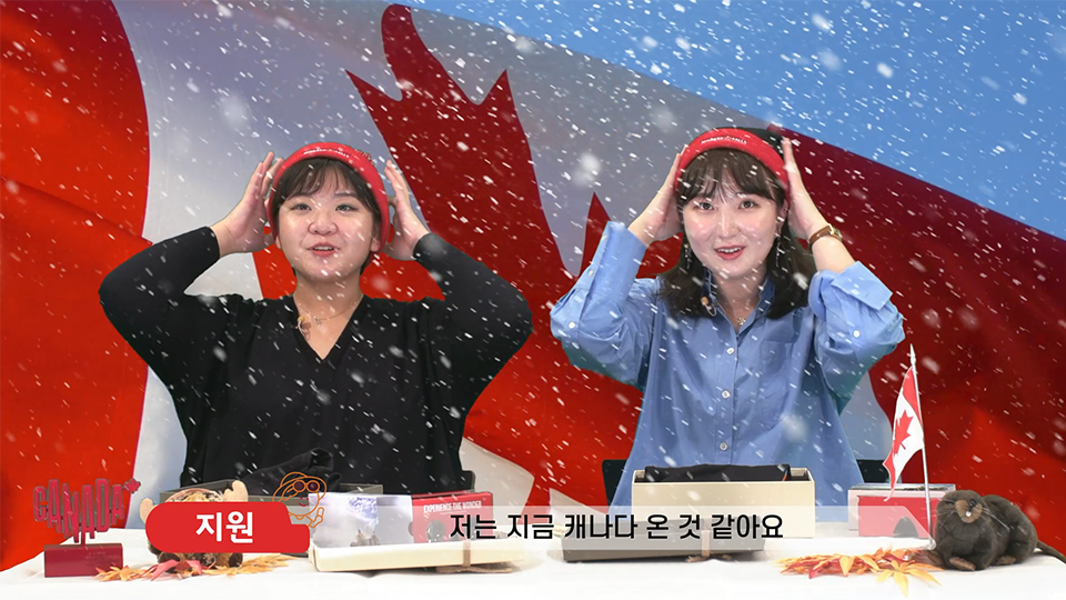 캐나다가을여행, 나이아가라폭포, 캐나다아이스와인, 캐나다단풍, 캐나다관광청, 여행ON기분, 랜선여행, 캐나다랜선여행, 캐나다여행