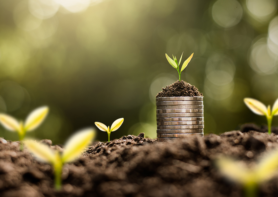 SKT, 카카오, 초협력, ESG, 지적재산권, 특허