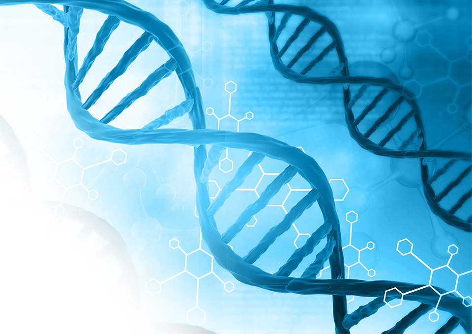 SKT, 인간게놈, 지니너스, AI유전체분석