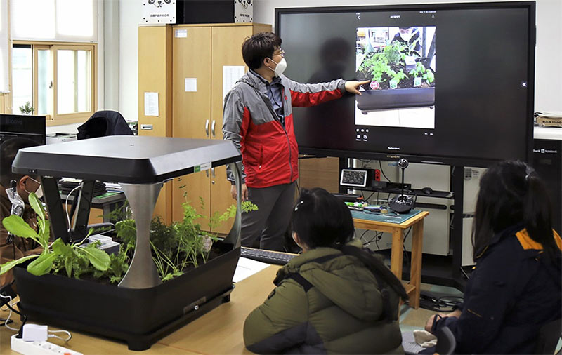 MS, 장애청소년, ICT, IoT, 스마트팜