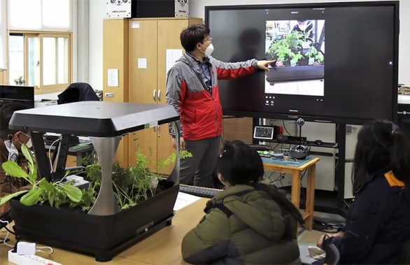 MS, 장애청소년, ICT, IoT, 스마트팜