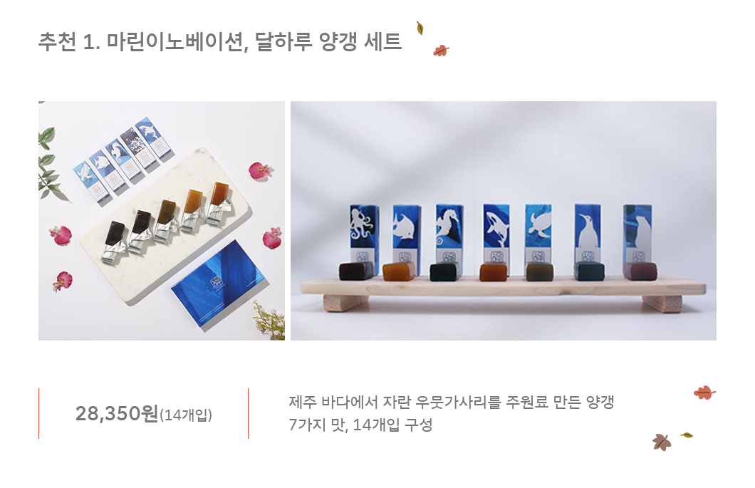 ESG, 추석선물, 추석, 사회적기업, SOVAC, 11번가, 행복인플루언서