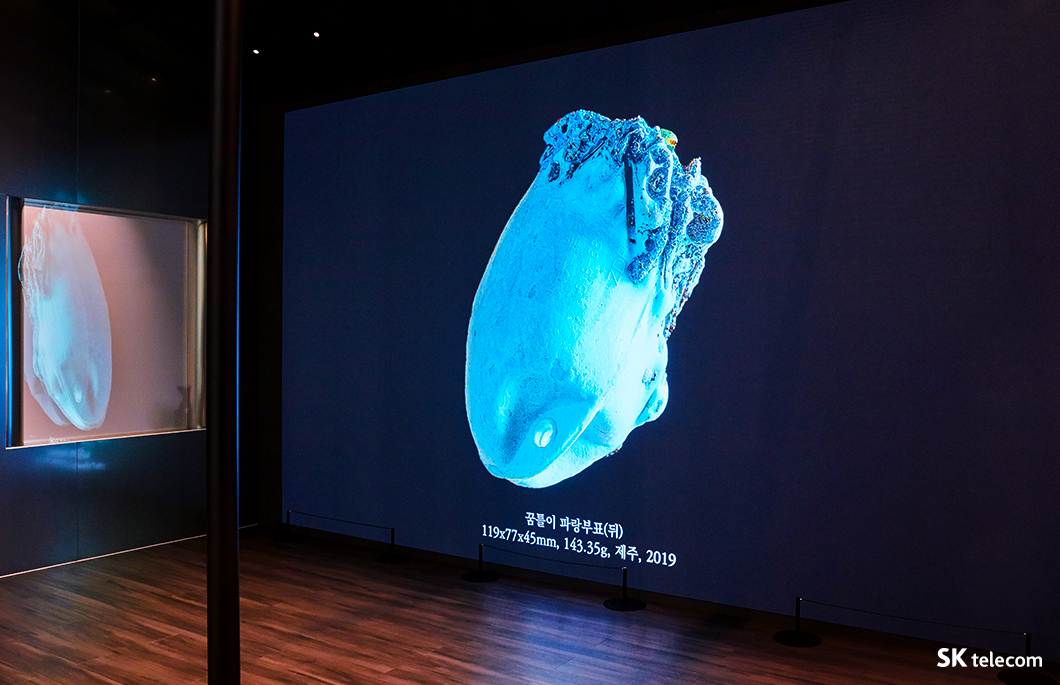 COMO, ESG, 장한나, 뉴락