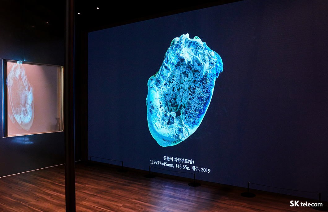 COMO, ESG, 장한나, 뉴락