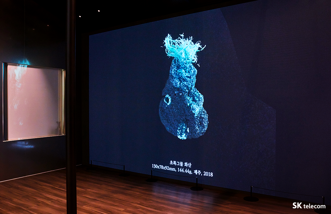 COMO, ESG, 장한나, 뉴락