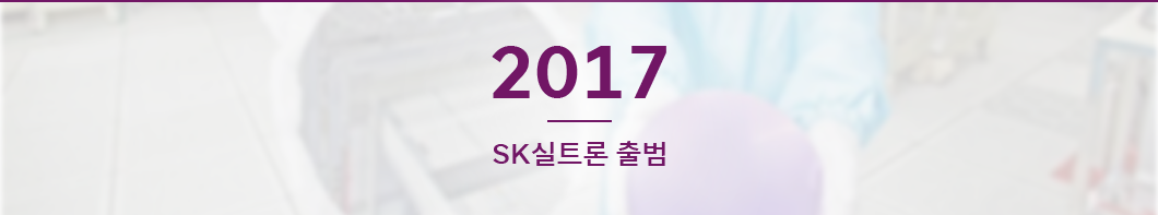 SK하이닉스, SK반도체산업, SK머터리얼즈, SK실트론, 키파운드리, 솔리다임, 사피온, SAPEON