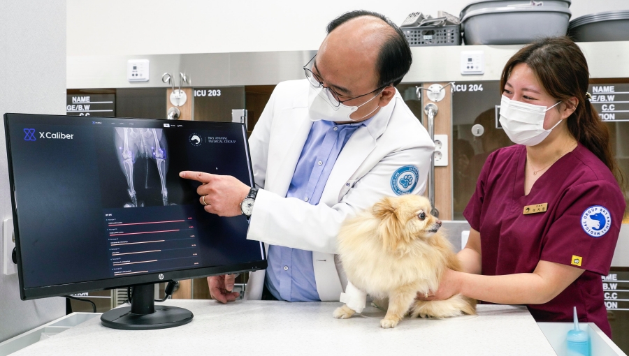 메타러너, 엑스칼리버, 반려동물