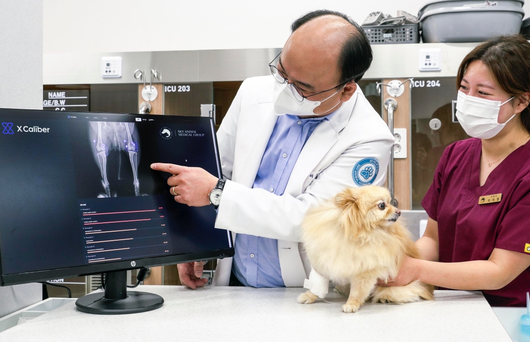 메타러너, 엑스칼리버, 반려동물