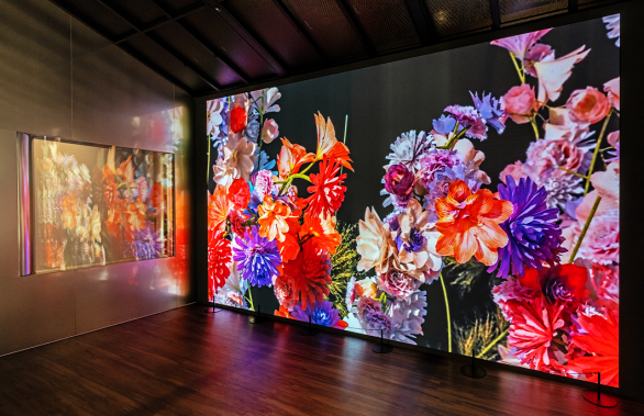 COMO, ESG, 넷제로, CES, 동행, 미디어아트