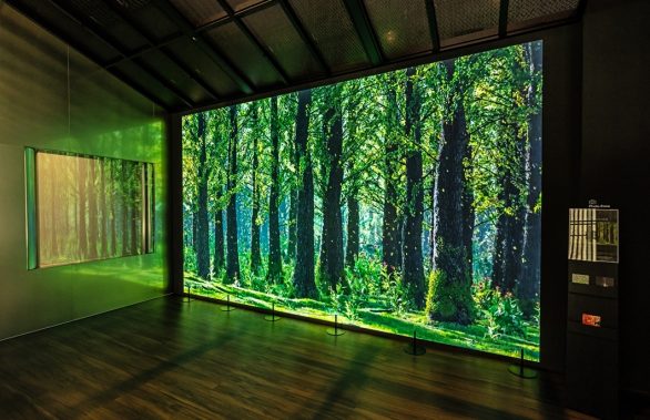 미디어아트, COMO, ESG, 동행