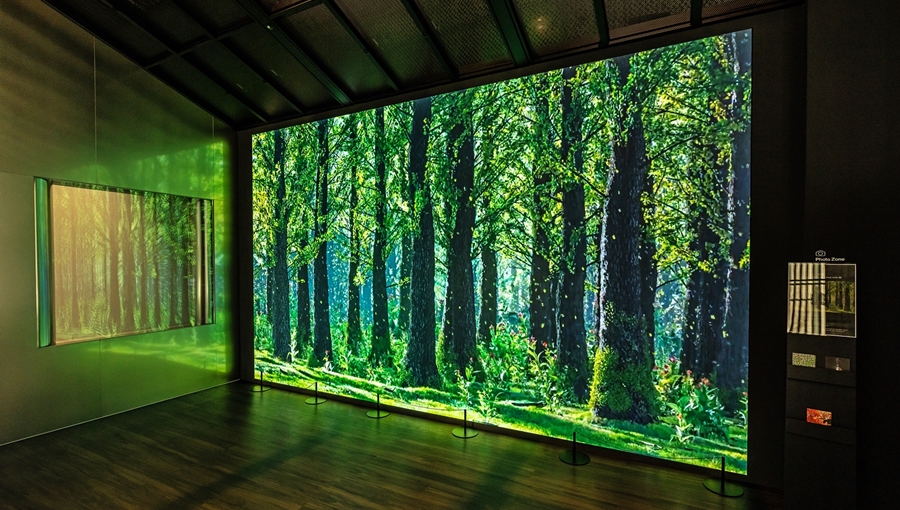 미디어아트, COMO, ESG, 동행