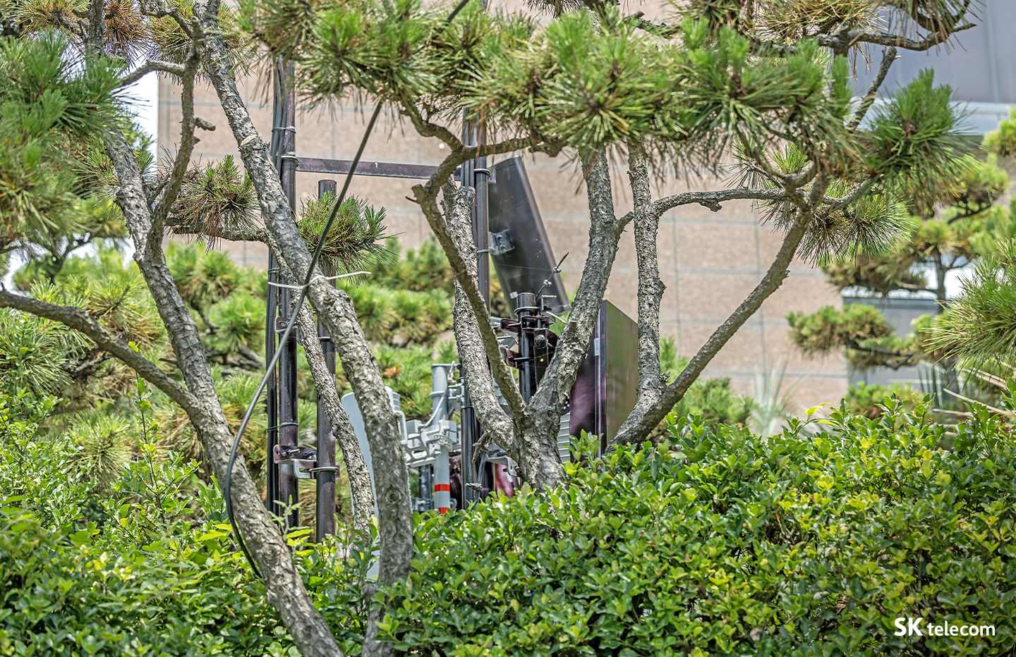 여름휴가철, 여름휴가, 통신인프라, 해운대, 통신품질관리