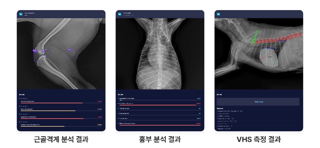 엑스칼리버, X Caliber, 엑스레이, 수의영상진단 보조서비스, 수의사, 엑스레이 사진, 동물병원, AI, 반려동물