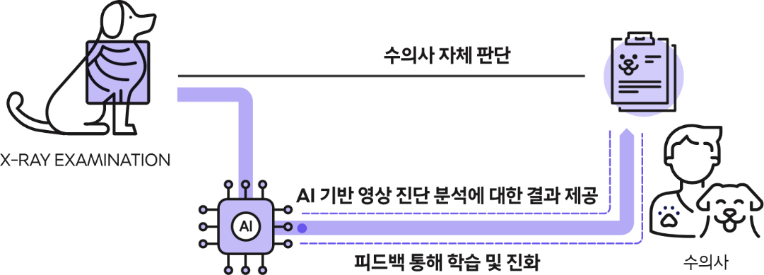 엑스칼리버, X Caliber, 엑스레이, 수의영상진단 보조서비스, 수의사, 엑스레이 사진, 동물병원, AI, 반려동물