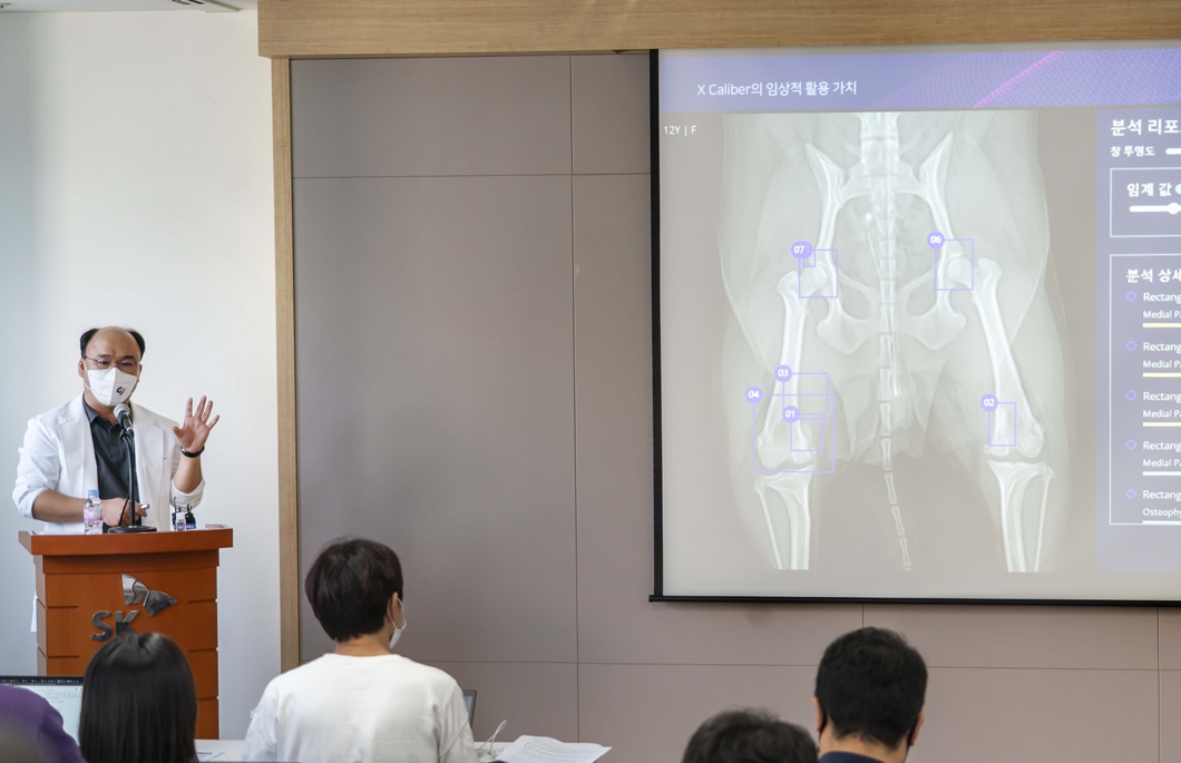 엑스칼리버, X Caliber, 엑스레이, 수의영상진단 보조서비스, 수의사, 엑스레이 사진, 동물병원, AI, 반려동물