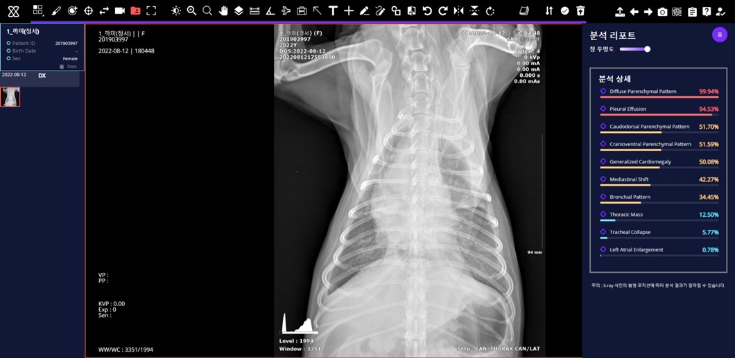 엑스칼리버, X Caliber, 엑스레이, 수의영상진단 보조서비스, 수의사, 엑스레이 사진, 동물병원, AI, 반려동물