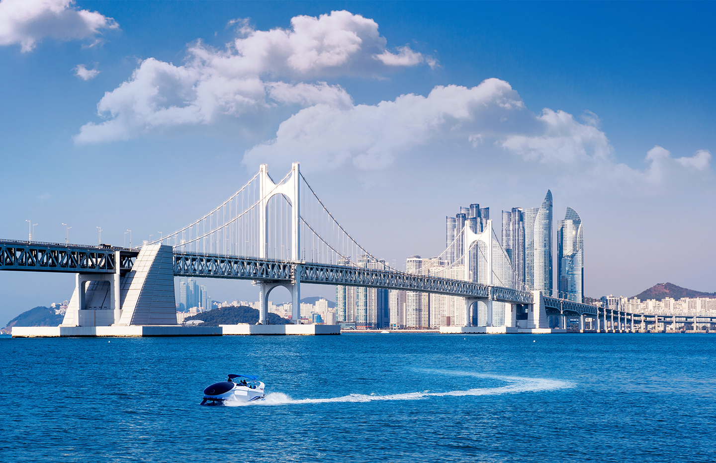 2030부산월드엑스포, 2030부산세계박람회, 부산월드엑스포, 부산세계박람회, 엑스포, EXPO, 오룡, 엑스포칼럼