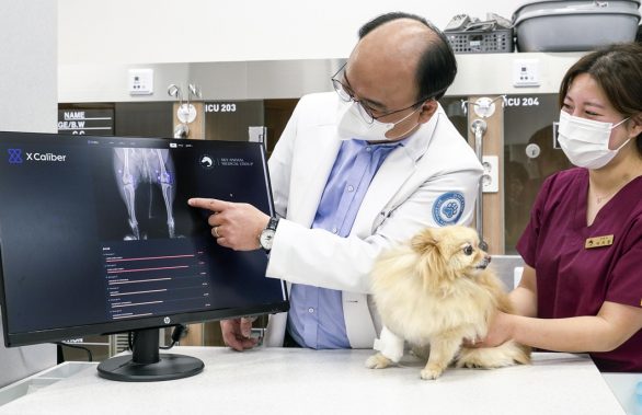 CES, CES_혁신상, 엑스칼리버, X_Caliber, 설리번, 설리번A, AI, 인공지능