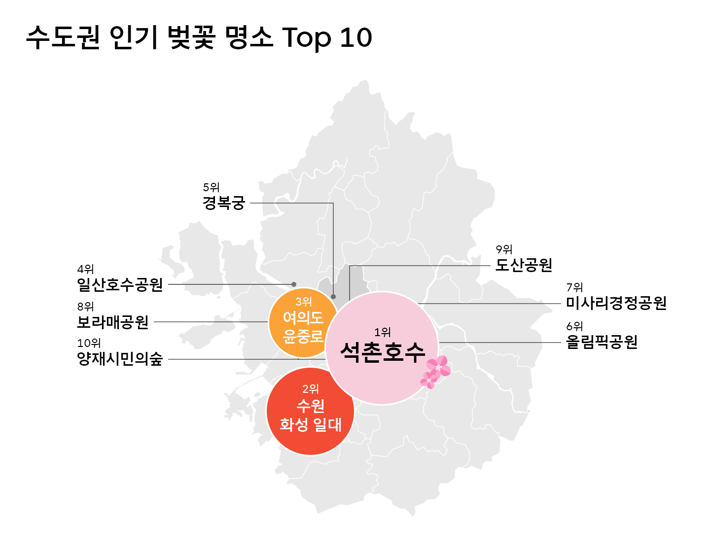 2030의 선택은 서울숲, 도산공원… 연령대별 벚꽃 명소 순위 공개
