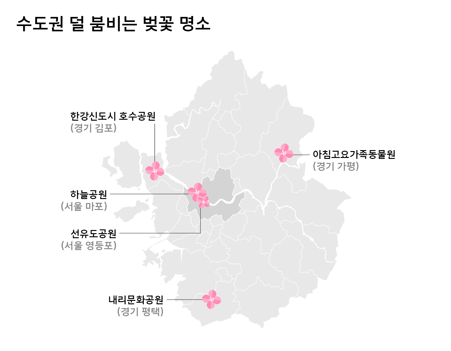 2030의 선택은 서울숲, 도산공원… 연령대별 벚꽃 명소 순위 공개