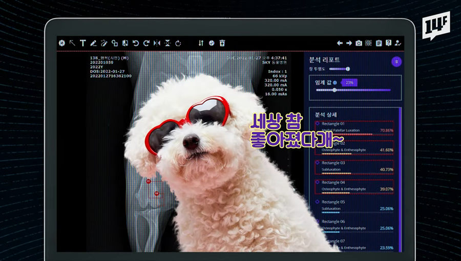 영상 슬개골 탈구입니다 댕댕이의 속사정 알려주는 AI 기술_mo