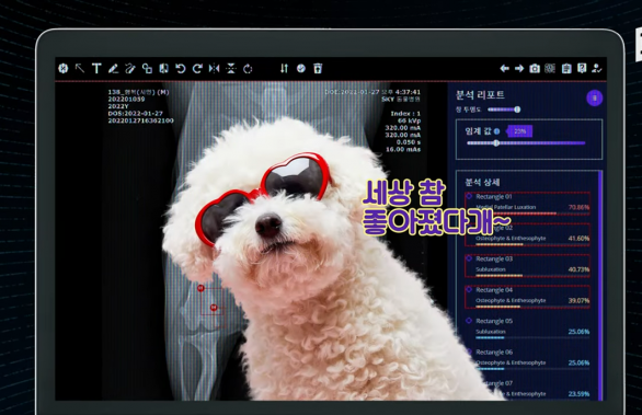 영상 슬개골 탈구입니다 댕댕이의 속사정 알려주는 AI 기술_pc