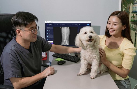 SKT AI가 우리 강아지 숨은 질환까지 잡아낸다!