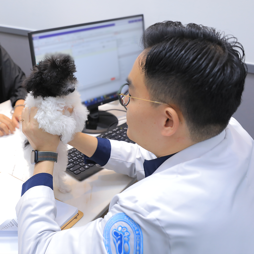 SKT 생활 속 AI 기술로 고객 일상에 행복 더했다