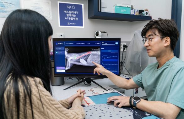 SKT 반려동물 AI 의료 서비스 호주·싱가포르 진출…고양이 진단 기능도 추가