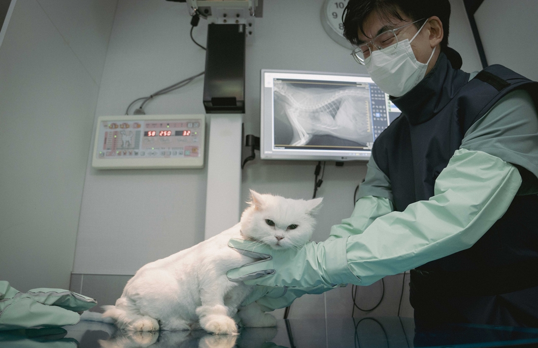 SKT 반려동물 AI 의료 서비스 호주·싱가포르 진출…고양이 진단 기능도 추가