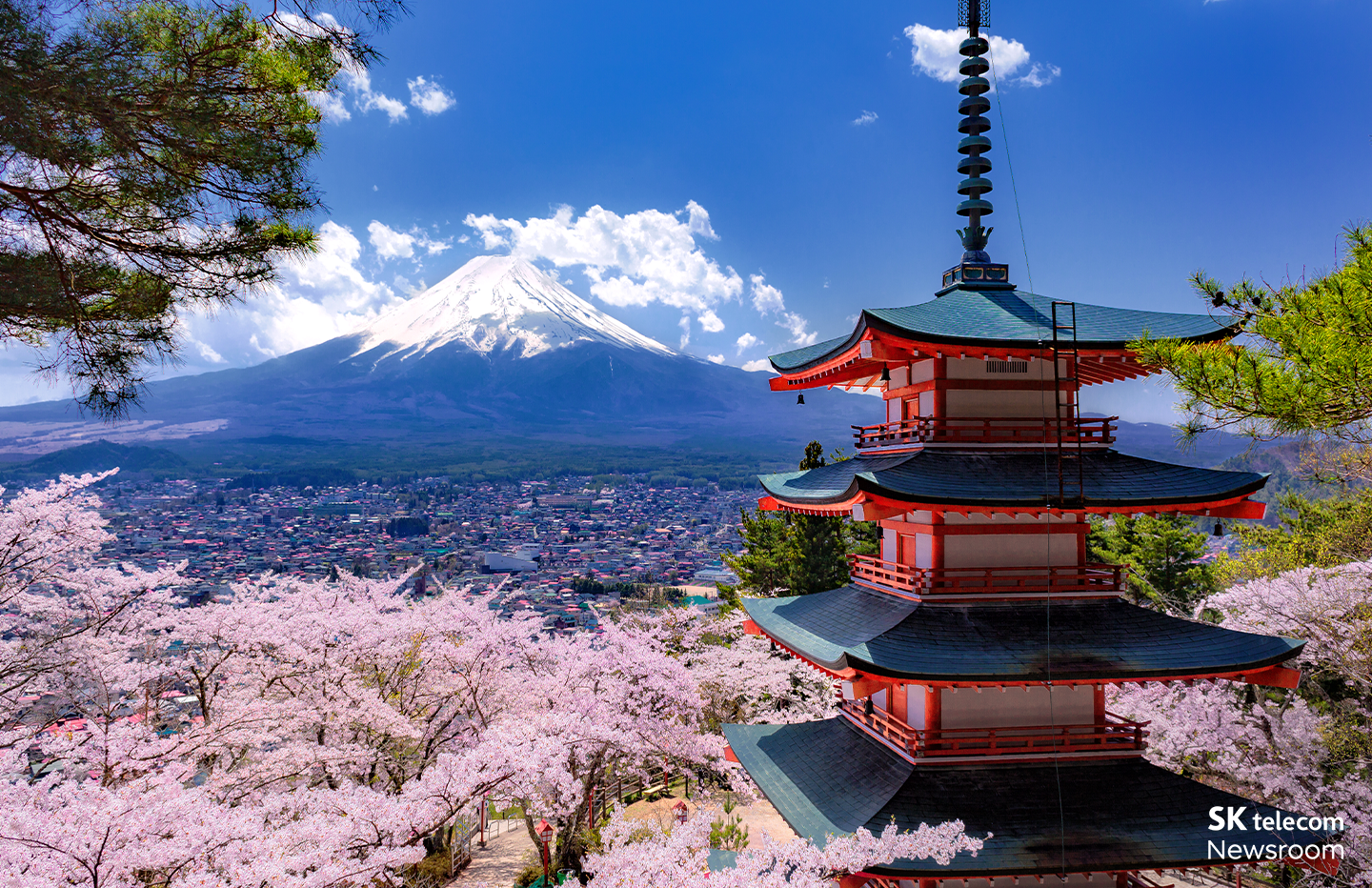 지난해에 가장 인기 있던 여행지는 일본 뜨는 여행지는 어디