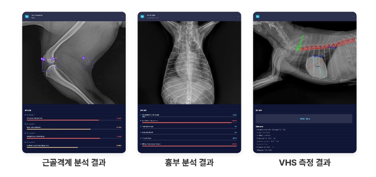 AI 톡터뷰 수의사 오이세 원장에게 AI를 활용한 진료를 묻다