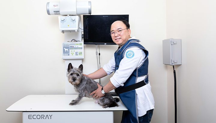 AI 톡터뷰 수의사 오이세 원장에게 AI를 활용한 진료를 묻다