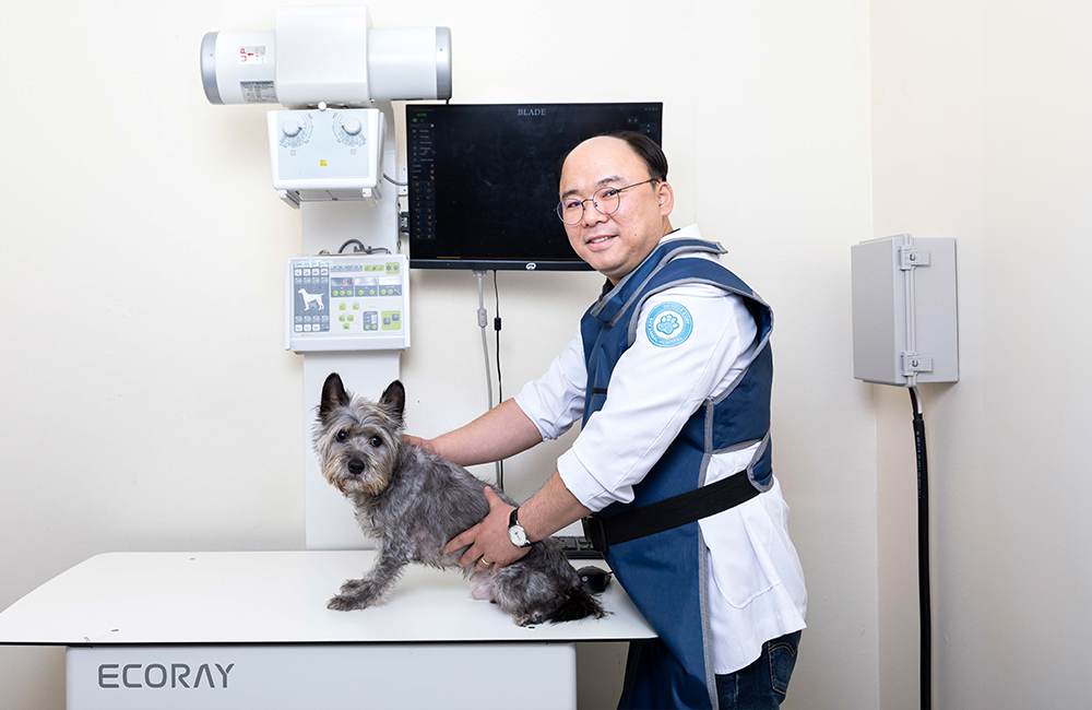AI 톡터뷰 수의사 오이세 원장에게 AI를 활용한 진료를 묻다