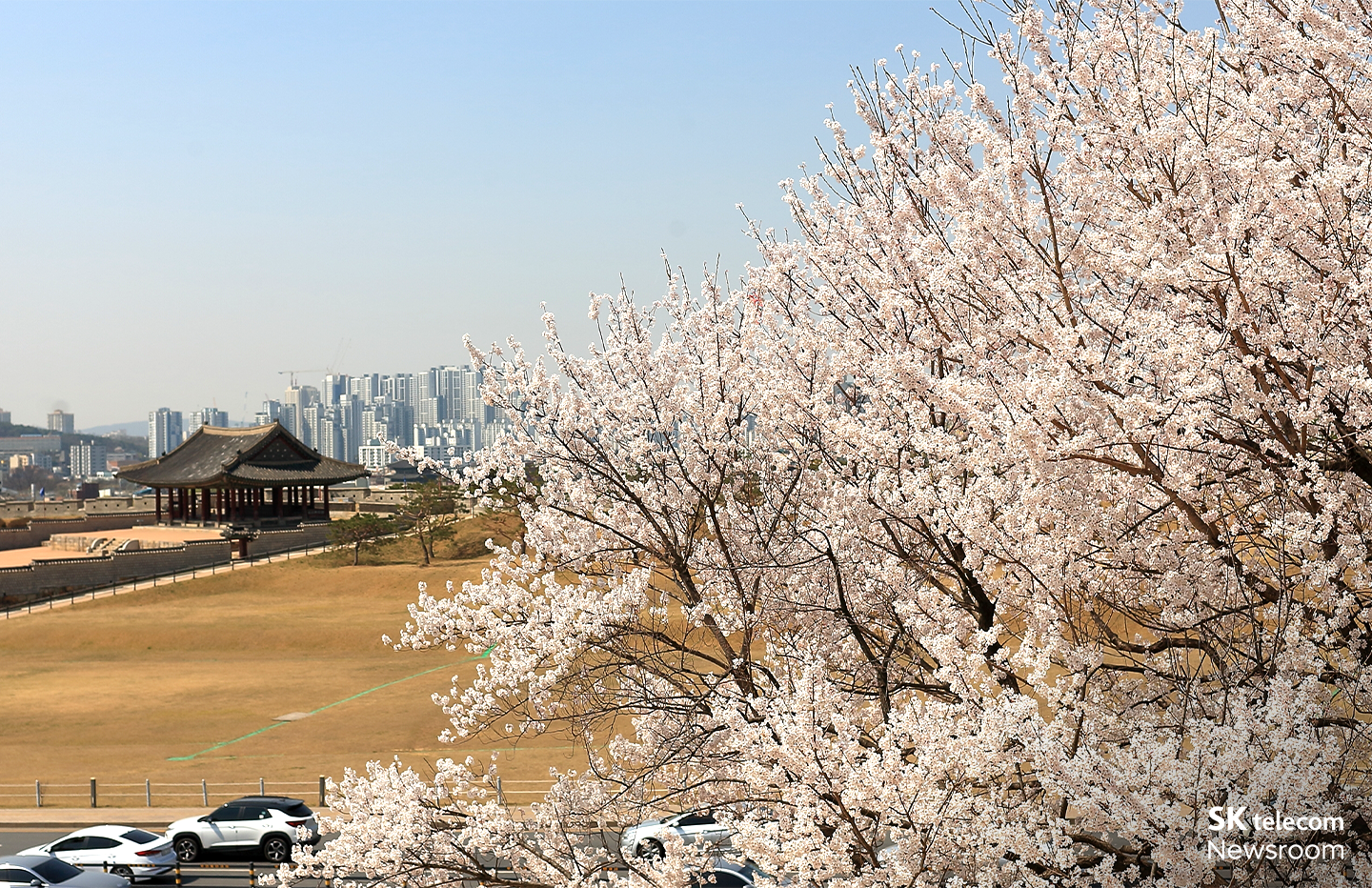 벚꽃 명소 혼잡도 이제 걱정 끝! 에이닷과 함께하는 벚꽃놀이 가이드