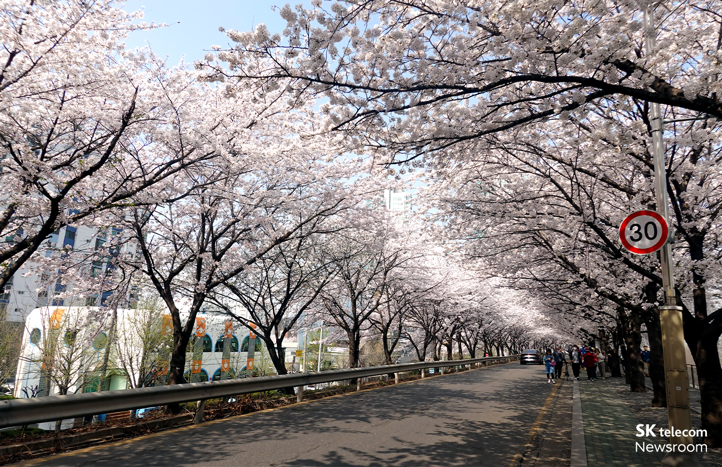 벚꽃 명소 혼잡도 이제 걱정 끝! 에이닷과 함께하는 벚꽃놀이 가이드