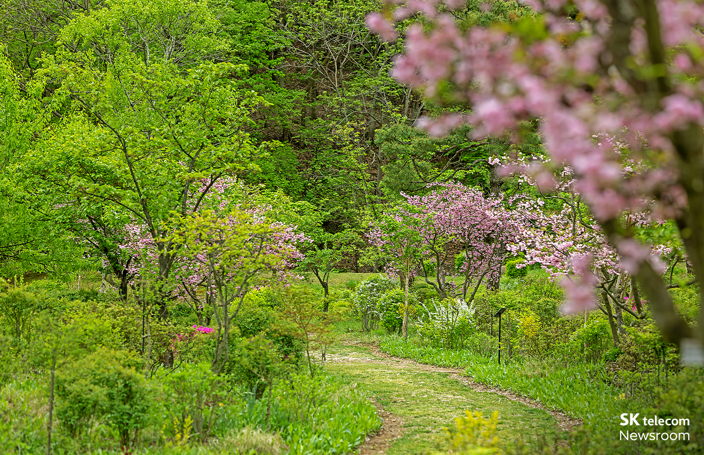 SKT 장기 우수 고객 초대 프로그램 스페셜 T 숲캉스 현장 스케치_04
