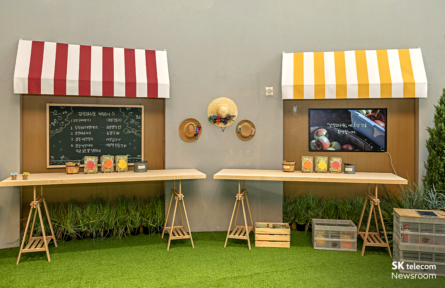 감정을 과일처럼 돌보며 길러내는 공간, 감정 과수원