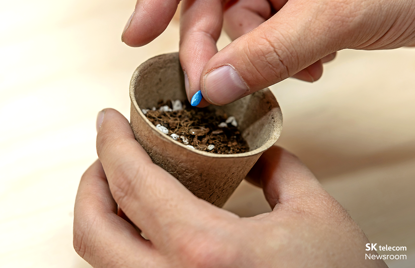 감정을 과일처럼 돌보며 길러내는 공간 감정 과수원