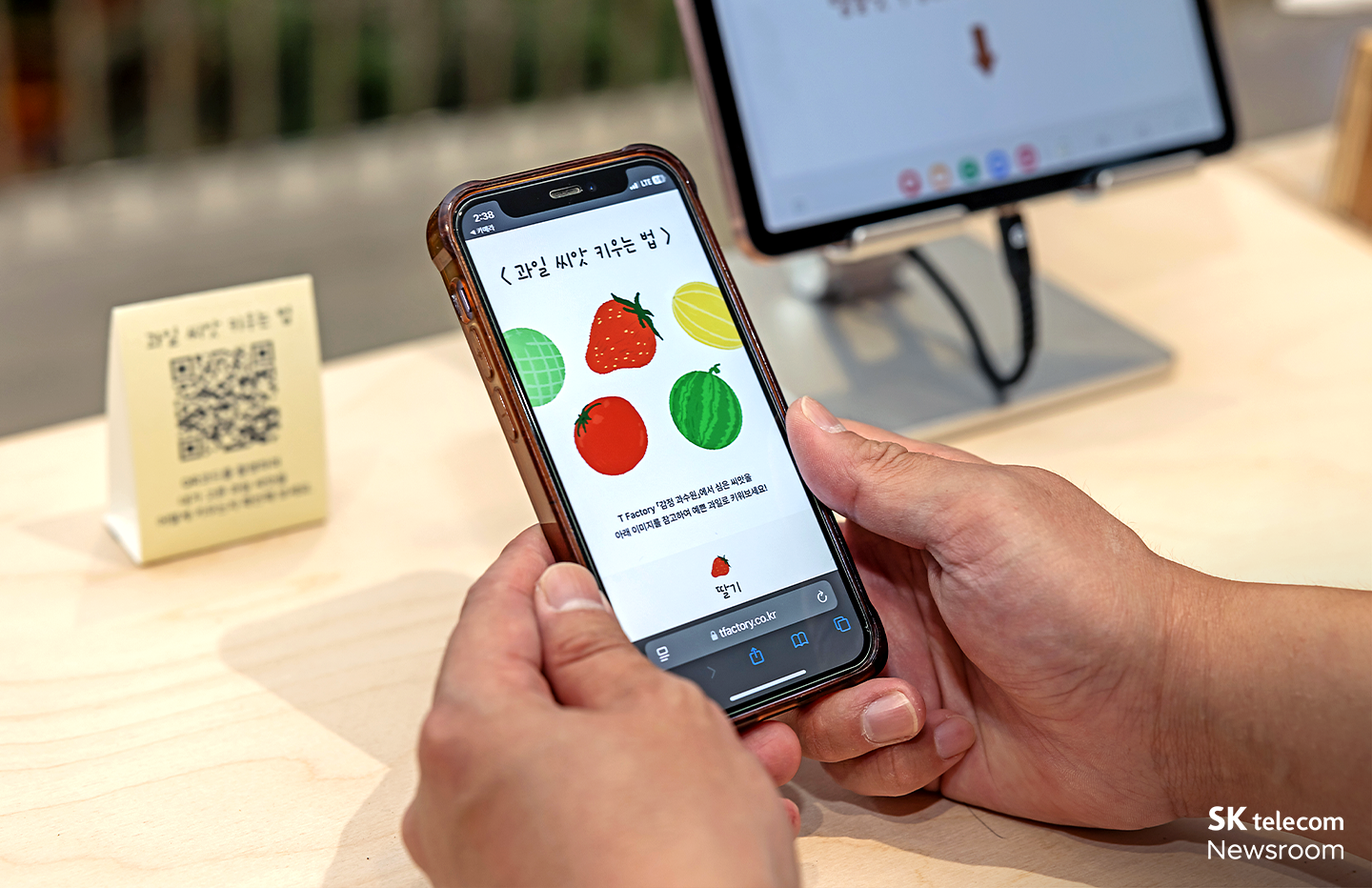 감정을 과일처럼 돌보며 길러내는 공간 감정 과수원