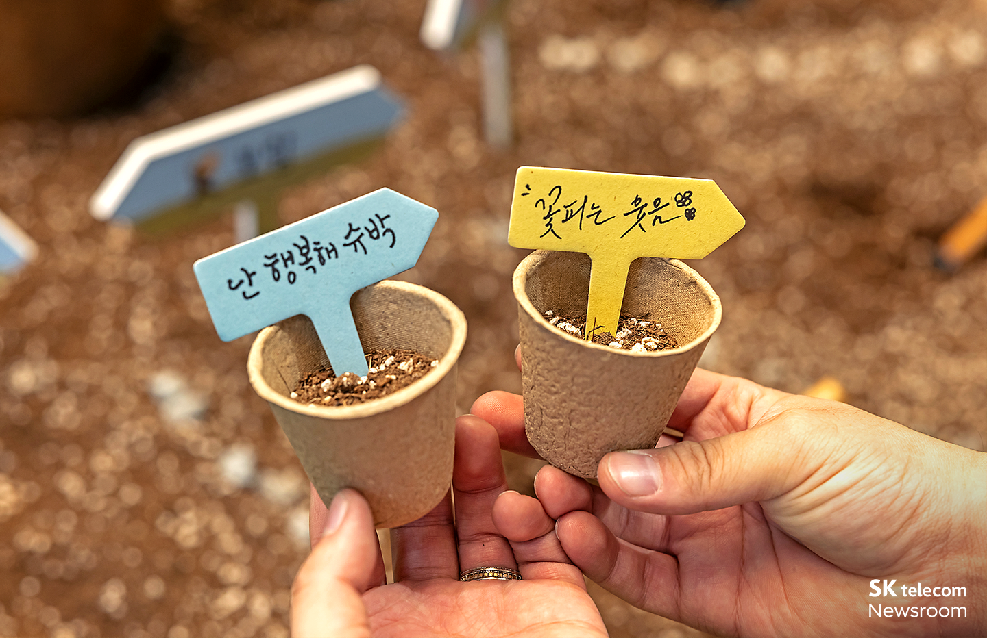 감정을 과일처럼 돌보며 길러내는 공간 감정 과수원