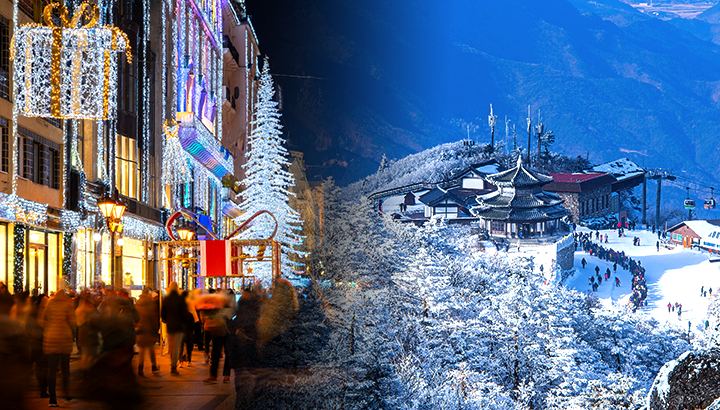 명동광화문동성로… 리트머스 데이터로 본 크리스마스 인기 방문지 순위